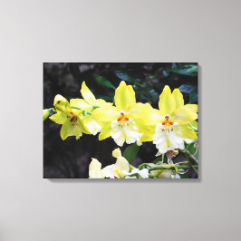 Orchid Trio Wrapped Canvas Skriv ut