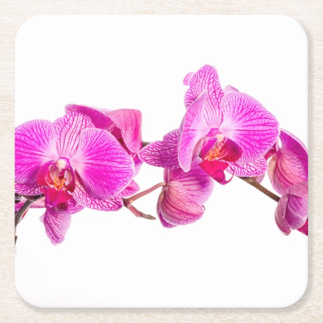 Orchid Underlägg Papper Kvadrat (Framsidan)