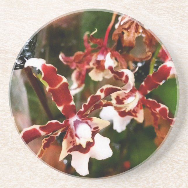 Orchid Underlägg Sandsten (Framsidan)