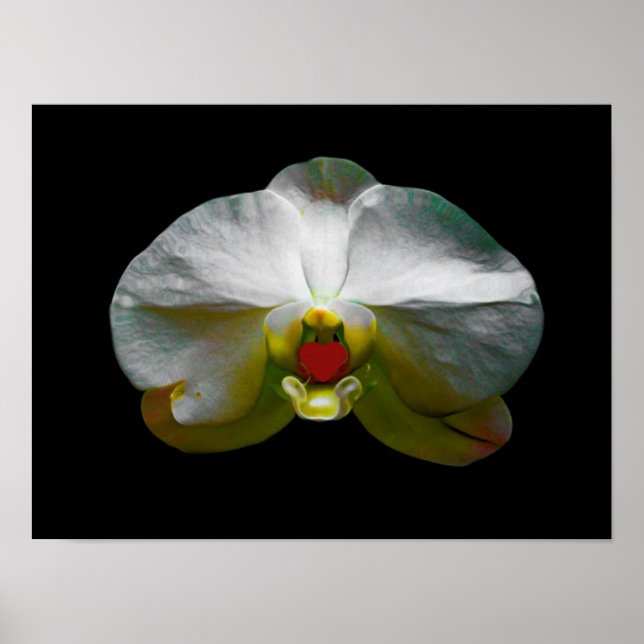 Orchid var Hennes hjärta Poster (Framsidan)