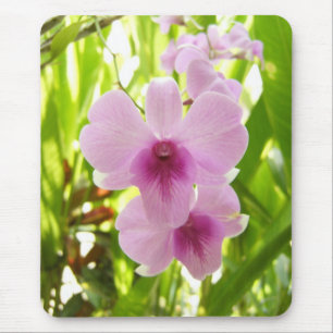 Orchid - värld av vårt eget musmatta