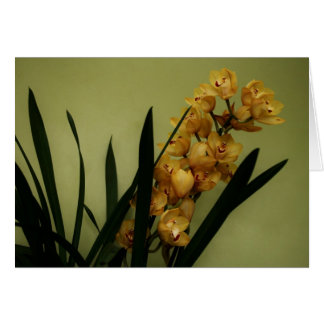 "orchid" vid Larry Coressel Hälsningskort