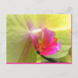 Orchid Vykort