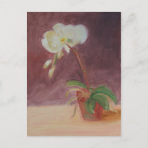 Orchid Vykort