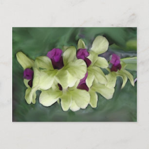 Orchid vykort