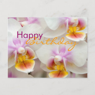 Orchid - vykort för födelsedag