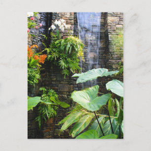 Orchid Wall Vykort