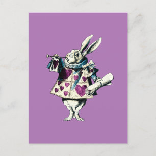 Orchid White Rabbit Decreto Vykort