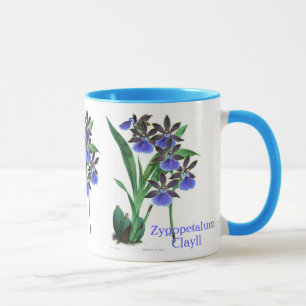 Orchid Zygopetalum Clayll Mugg