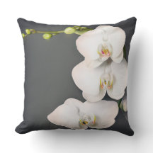 Orchidaceae (vitorchids)