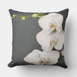 Orchidaceae (vitorchids) kudde