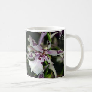 OrchidBeallara mugg