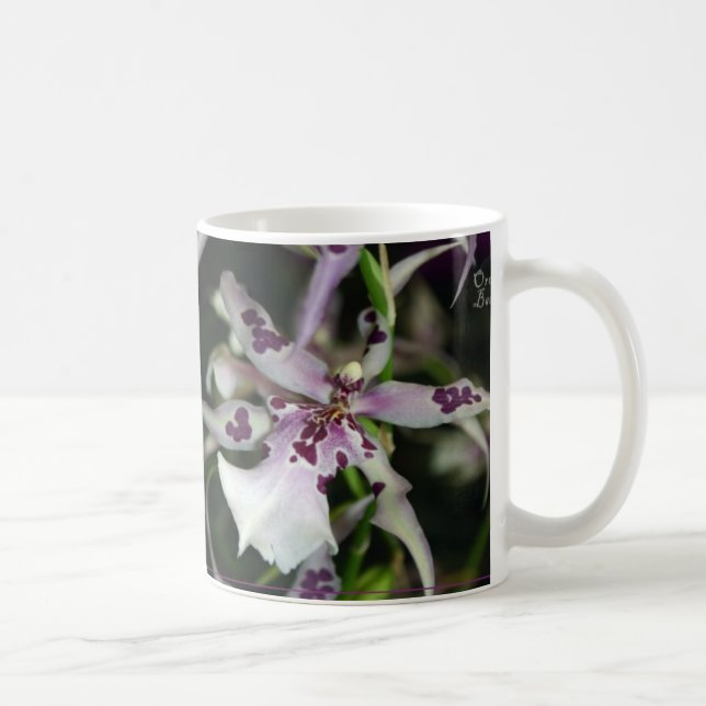 OrchidBeallara mugg (Höger)