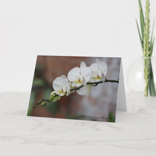 Orchidblom Kort (Framsida)