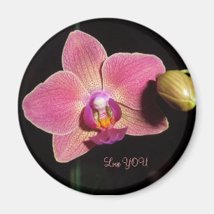 Orchidblomma av KÄRLEKAutism Magnet