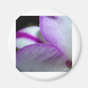 Orchidblomma Magnet