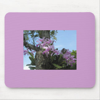 Orchidblomma Mousepad - Musmatta
