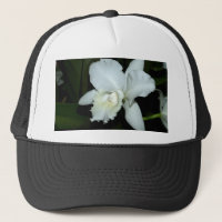 Orchidblomma