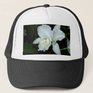 Orchidblomma Truckerkeps