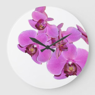 Orchidblommaväggen tar tid på stor klocka