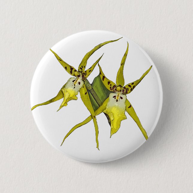 Orchidblommor Knapp (Framsida)