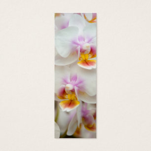 Orchidbokmärke Litet Visitkort