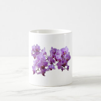 orchideadomestica kaffemugg