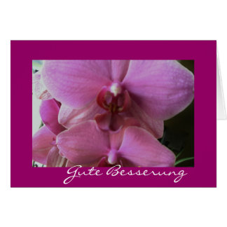 Orchidee-gute besserung OBS kort