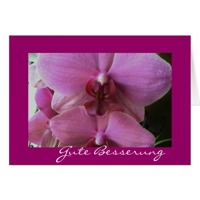 Orchidee-gute besserung OBS kort (Framsidan Horizontal)