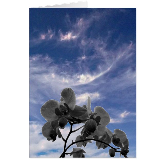 Orchidee Hälsningskort (Framsidan)