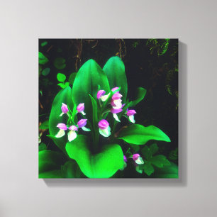 Orchidéer Canvastryck