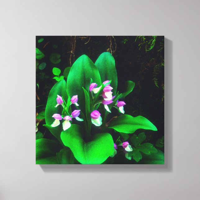 Orchidéer Canvastryck (Framsida)