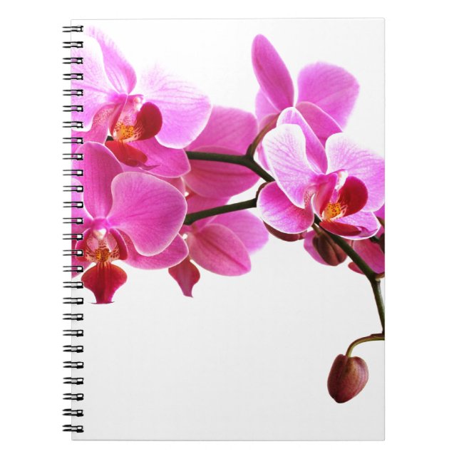 Orchidéhäfte Anteckningsbok (Framsidan)