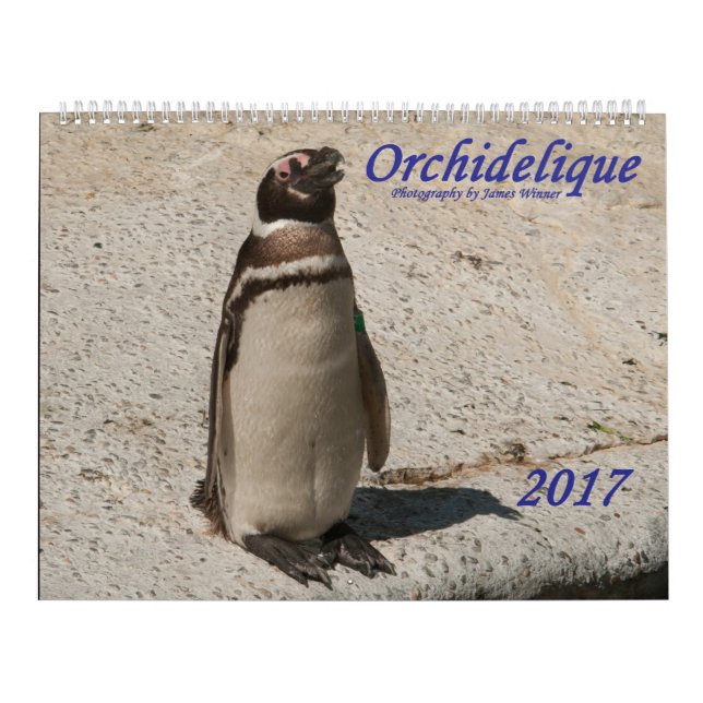 Orchideliques 2017 djura kalender (Omslag)
