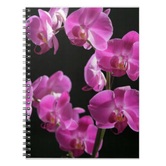 Orchiden blomstrar anteckningsboken anteckningsbok med spiral