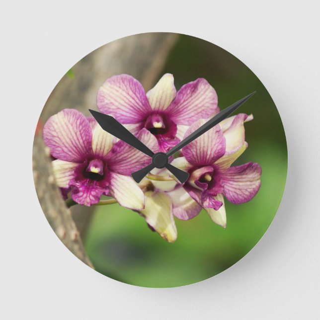 Orchidfröjd Rund Klocka (Framsida)