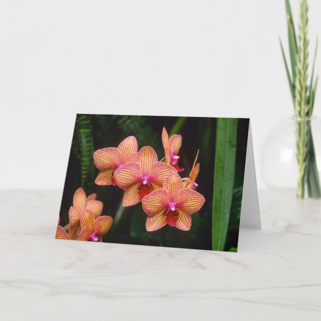 Orchidhälsningkort Kort (Framsida)