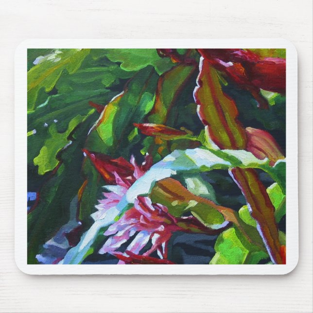 Orchidkaktus 3 musmatta (Framsidan)