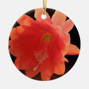Orchidkaktus - Epiphyllum Ackermannii - blommar Julgransprydnad Keramik