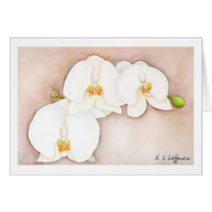 Orchidkort Hälsningskort