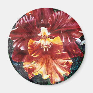 Orchidmagnet Magnet