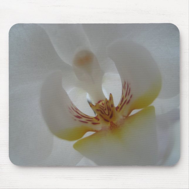 Orchidmousemat Musmatta (Framsidan)