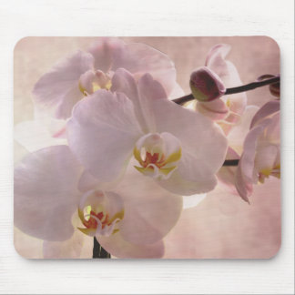 Orchidmousepad Musmatta