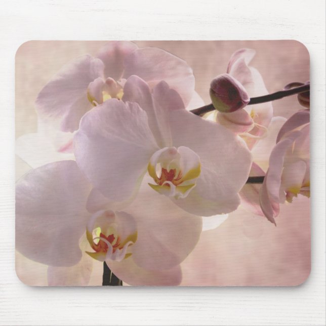 Orchidmousepad Musmatta (Framsidan)
