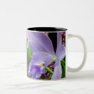 Orchidmugg 11 Två-Tonad mugg