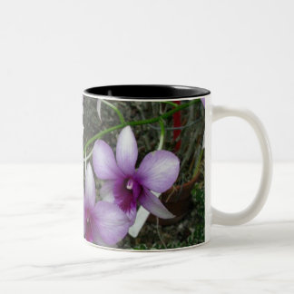 Orchidmugg 5 Två-Tonad mugg