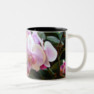 Orchidmugg 6 Två-Tonad mugg