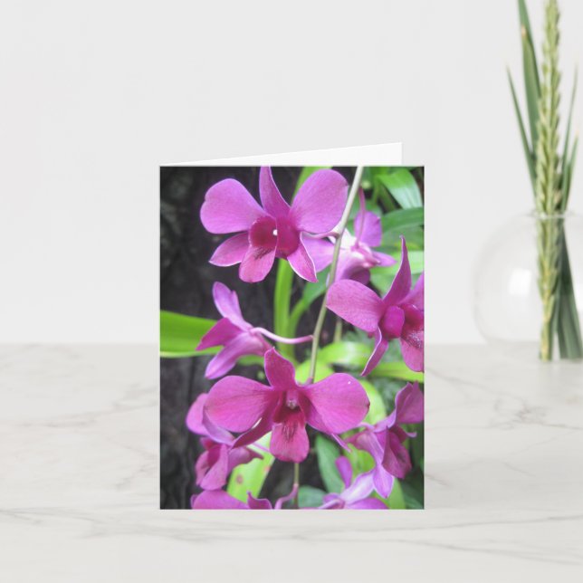 Orchidnotecard Kort (Framsida)