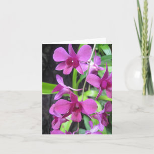 Orchidnotecard Kort
