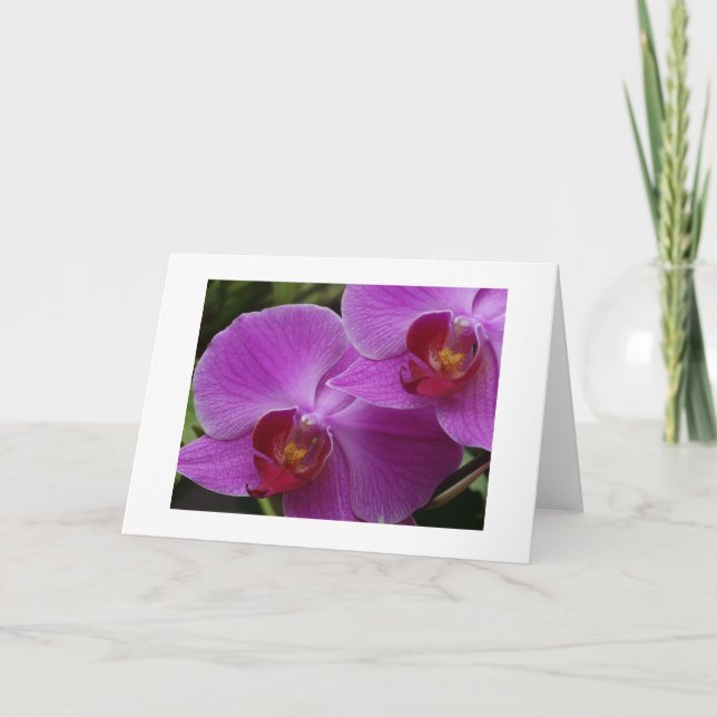 Orchidperfektion Kort (Framsida)